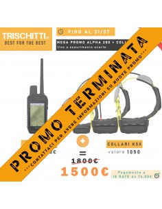 Palmare Garmin Alpha 200 k...