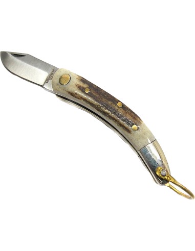 Coltello Virginia manico cervo lama 6 cm