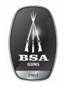 BSA Guns