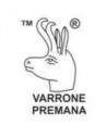 Varrone Premana